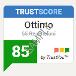 Trust-Score